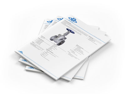 CVB Gate valves